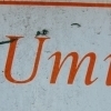 Rotis Serif Italic